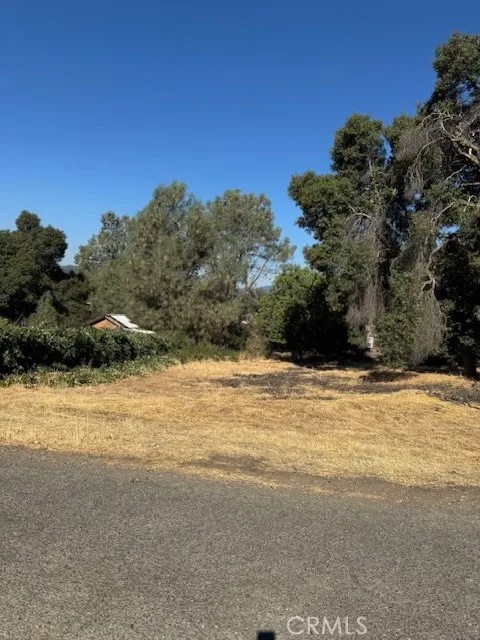 3595 Mountain View