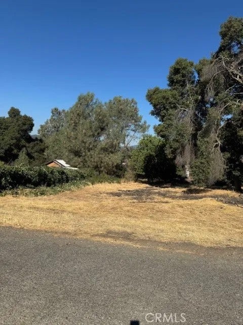 3595 Mountain View