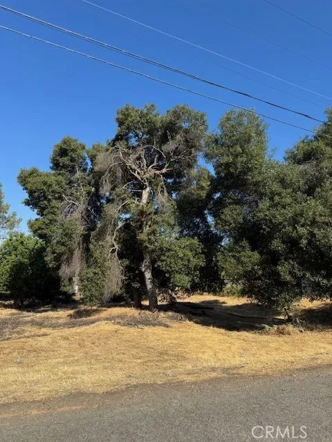 3595 Mountain View