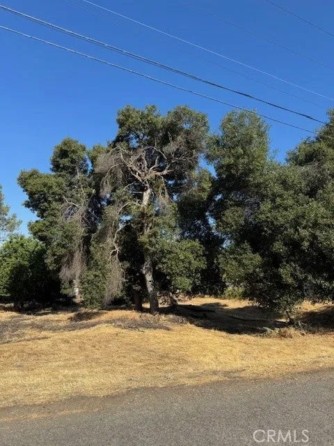 3595 Mountain View