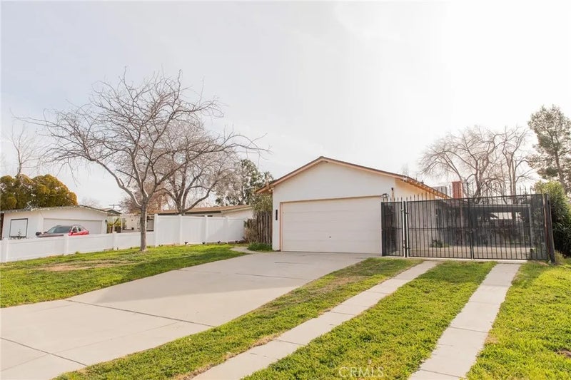 38990 Juniper Tree