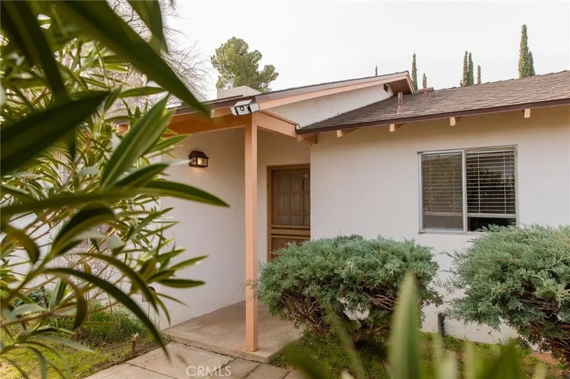 38990 Juniper Tree