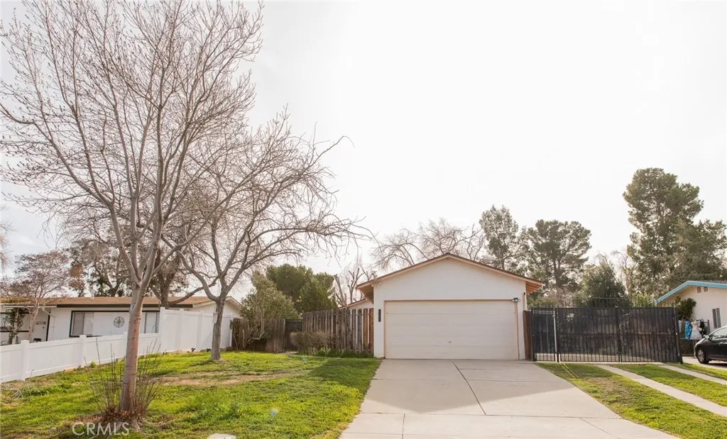 38990 Juniper Tree