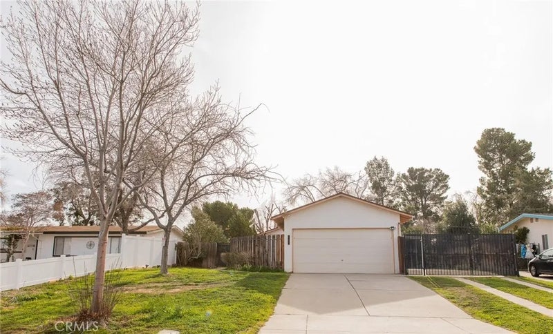 38990 Juniper Tree