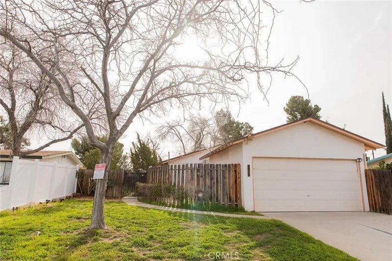 38990 Juniper Tree