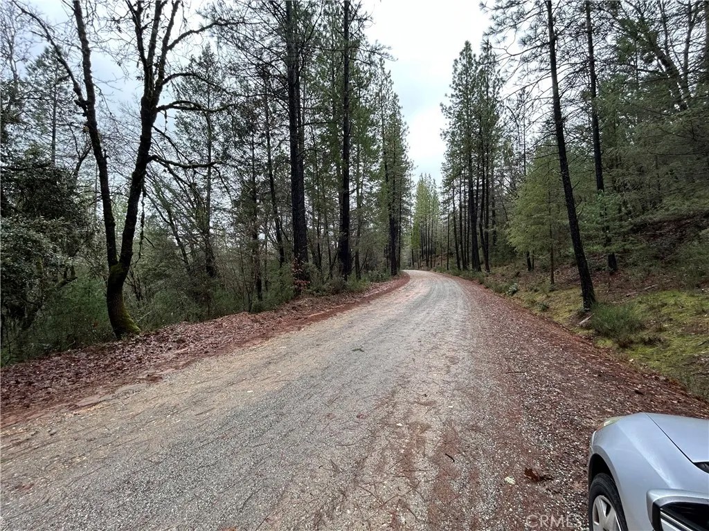 14550 Grizzly Hill