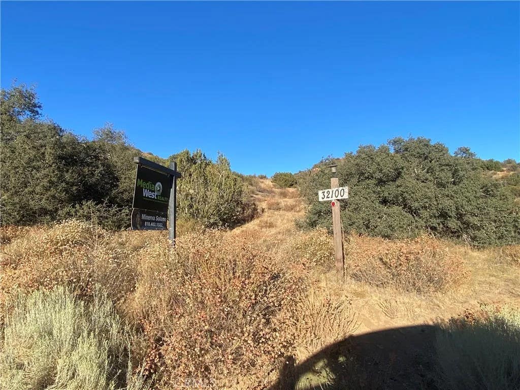 Photo of 32100 Hughes Canyon, Acton, CA 93510 (MLS # BB26170989)