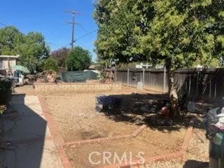 1185 Elm