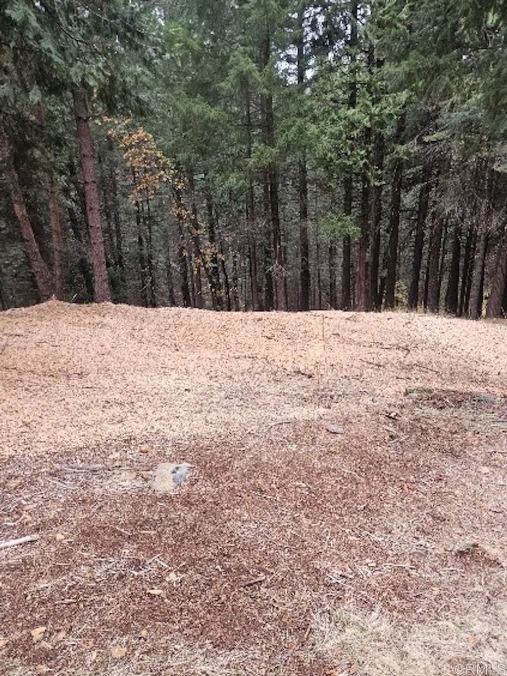 Photo of 4952 Sierra Springs Drive, Pollock Pines, CA 95726 (MLS # PTP2600819)