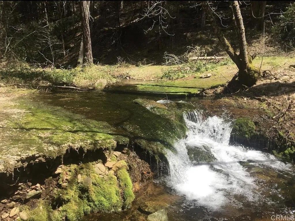 Photo of 4952 Sierra Springs Drive, Pollock Pines, CA 95726 (MLS # PTP2600819)