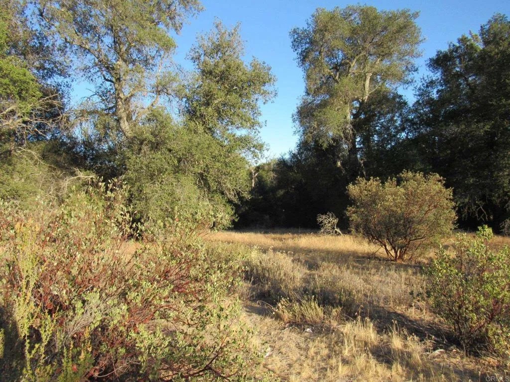 153 Old 80 and Hwy 94