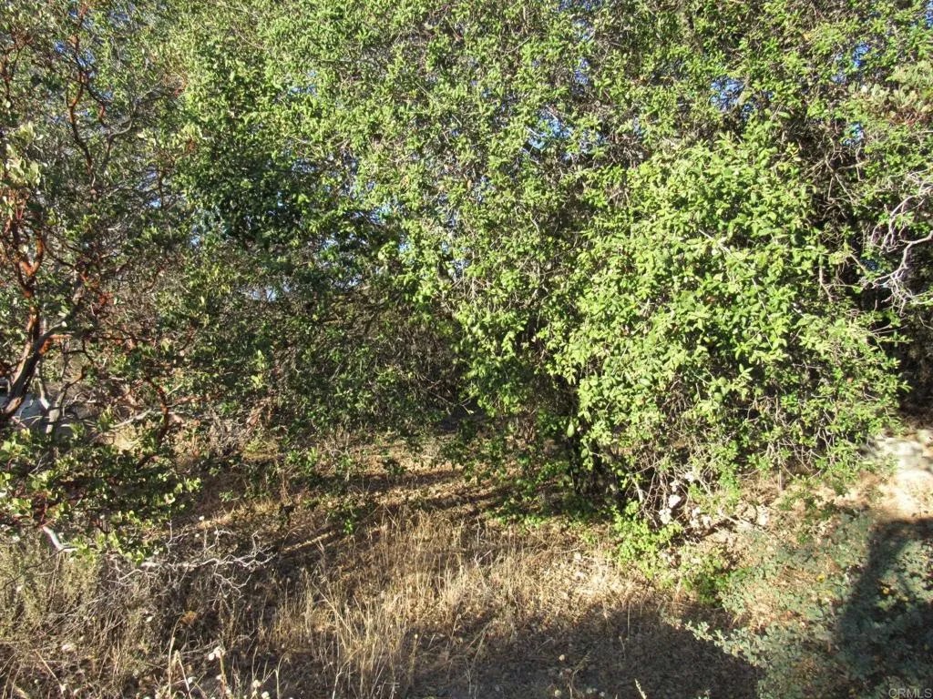153 Old 80 and Hwy 94