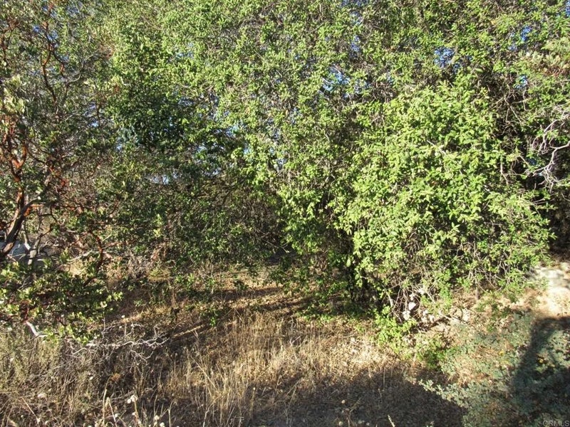 153 Old 80 and Hwy 94
