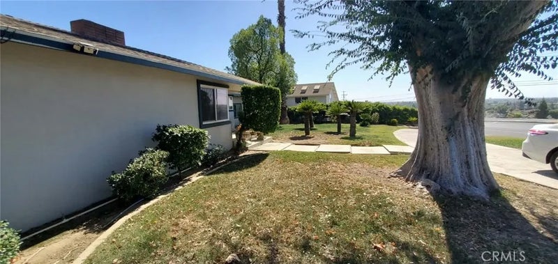 5 Panorama