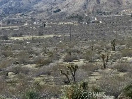 0 29 Palms Highway