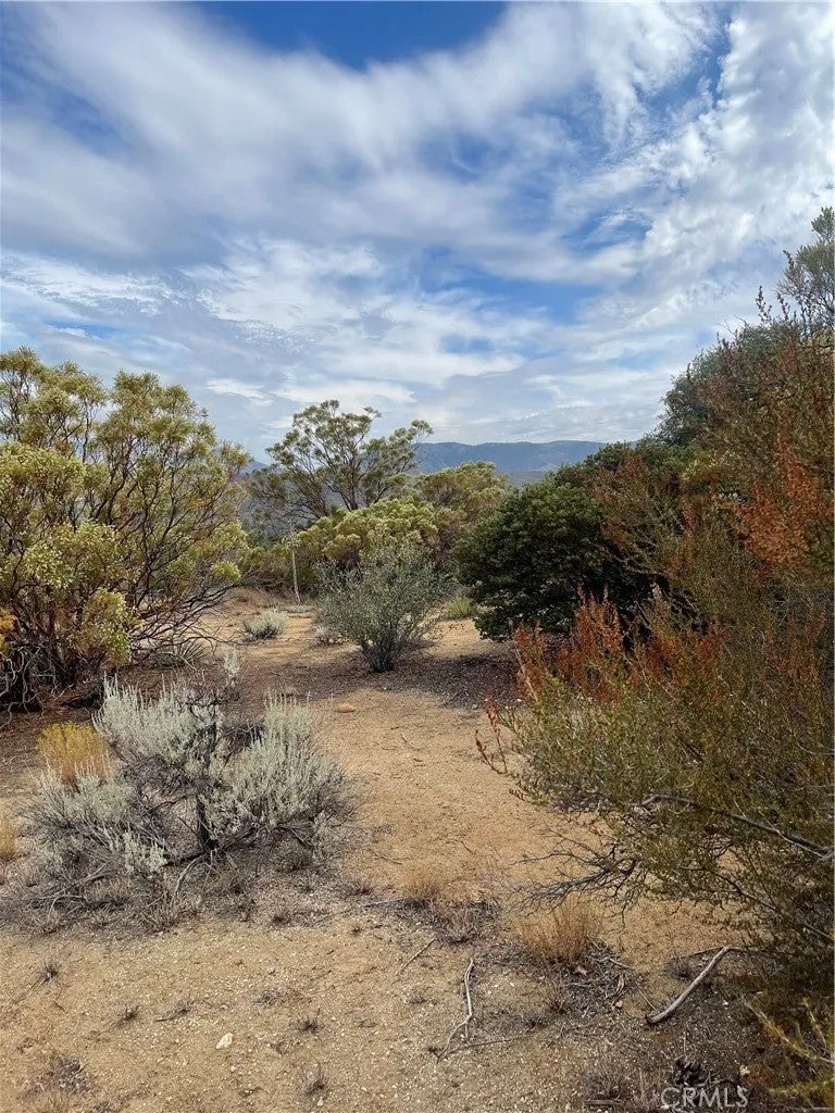 2 Goldshot Creek
