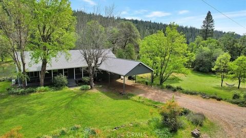 Photo of 14937 Fountain House Rd, Dobbins, CA 95935 (MLS # PT26074150)