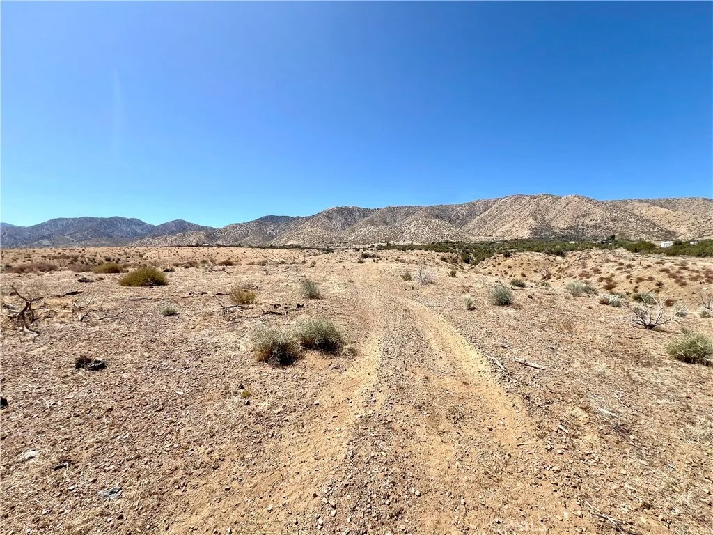 113 Juniper Mesa