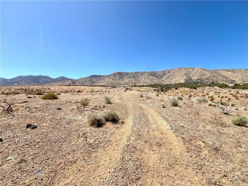 113 Juniper Mesa