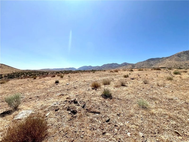 113 Juniper Mesa