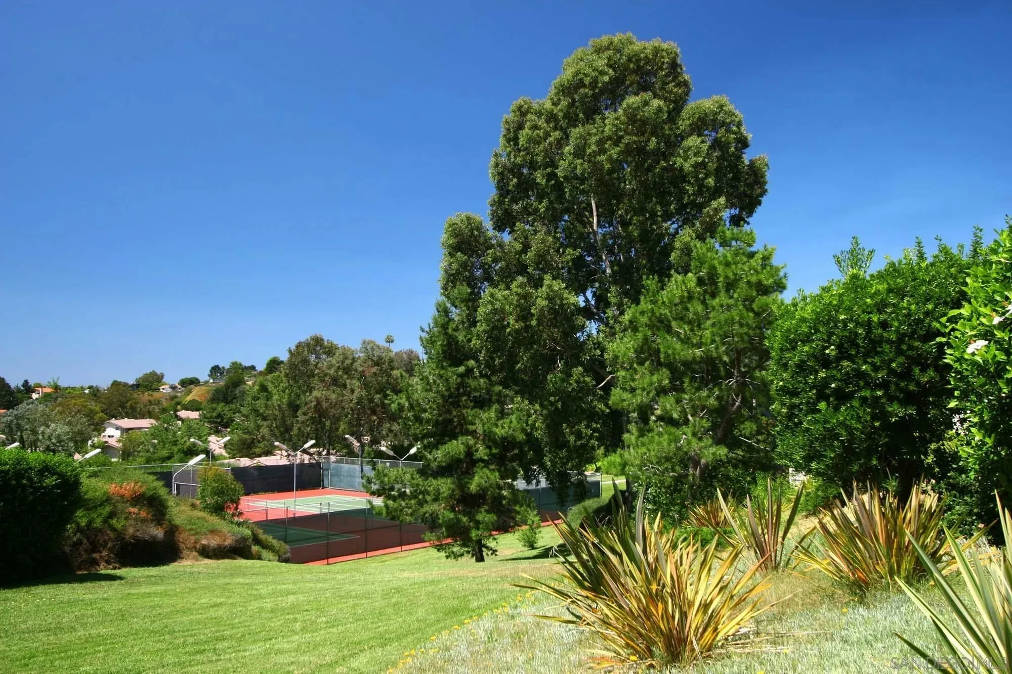 La Jolla, California 92037, United States, 3 Bedrooms Bedrooms, ,3 BathroomsBathrooms,Residential,Active,152762