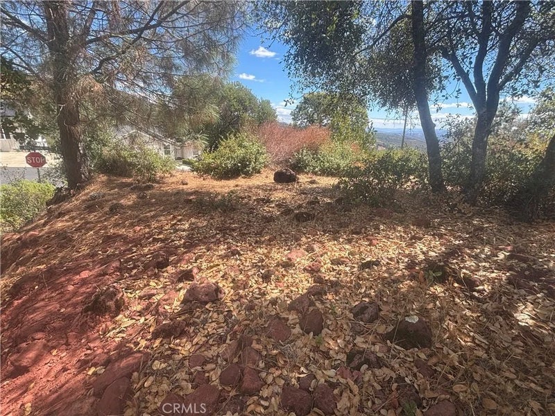 15909 Little Peak