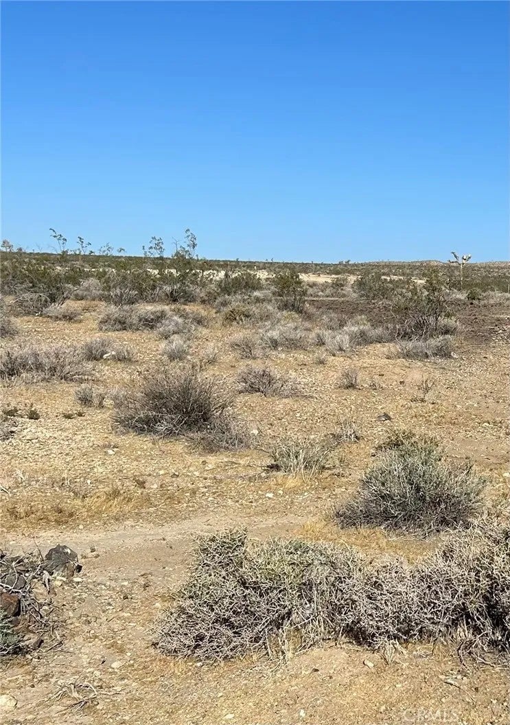 5 Mi N/O Shadow Mt