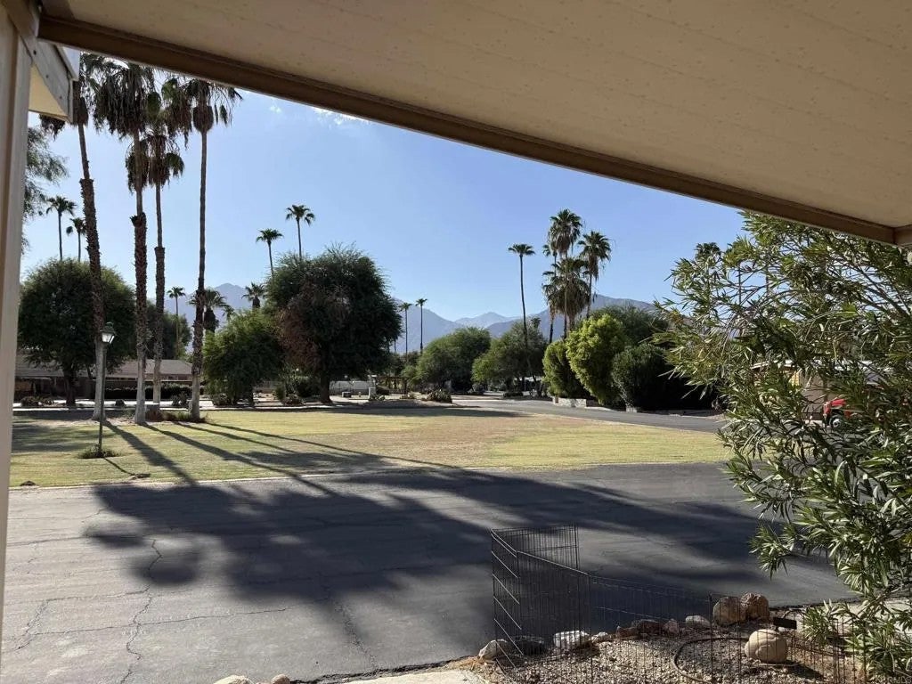 1010 Palm Canyon 10