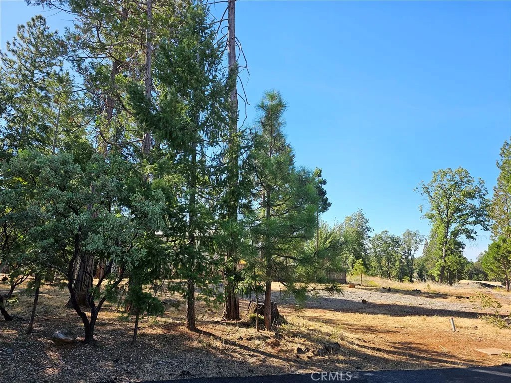 6262 Woodbury Dr.