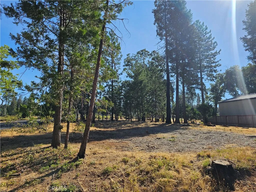 6262 Woodbury Dr.