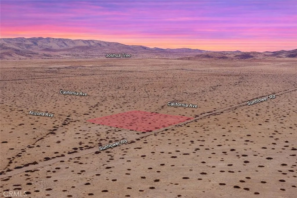 0 Arizona
