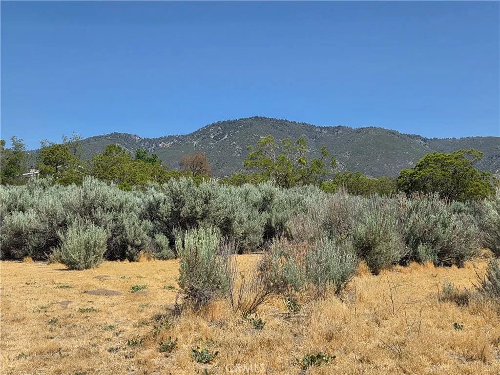 Photo of 37230 Bautista Canyon, Anza, CA 92539 (MLS # SW26087315)