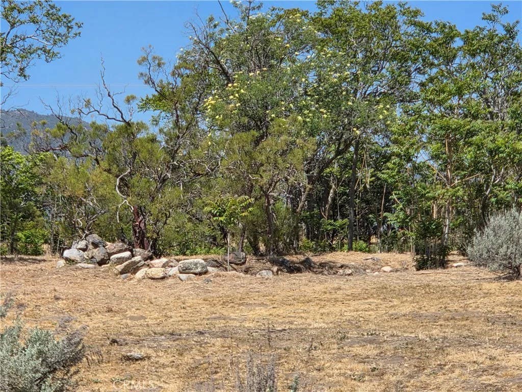 Photo of 37230 Bautista Canyon, Anza, CA 92539 (MLS # SW26087315)