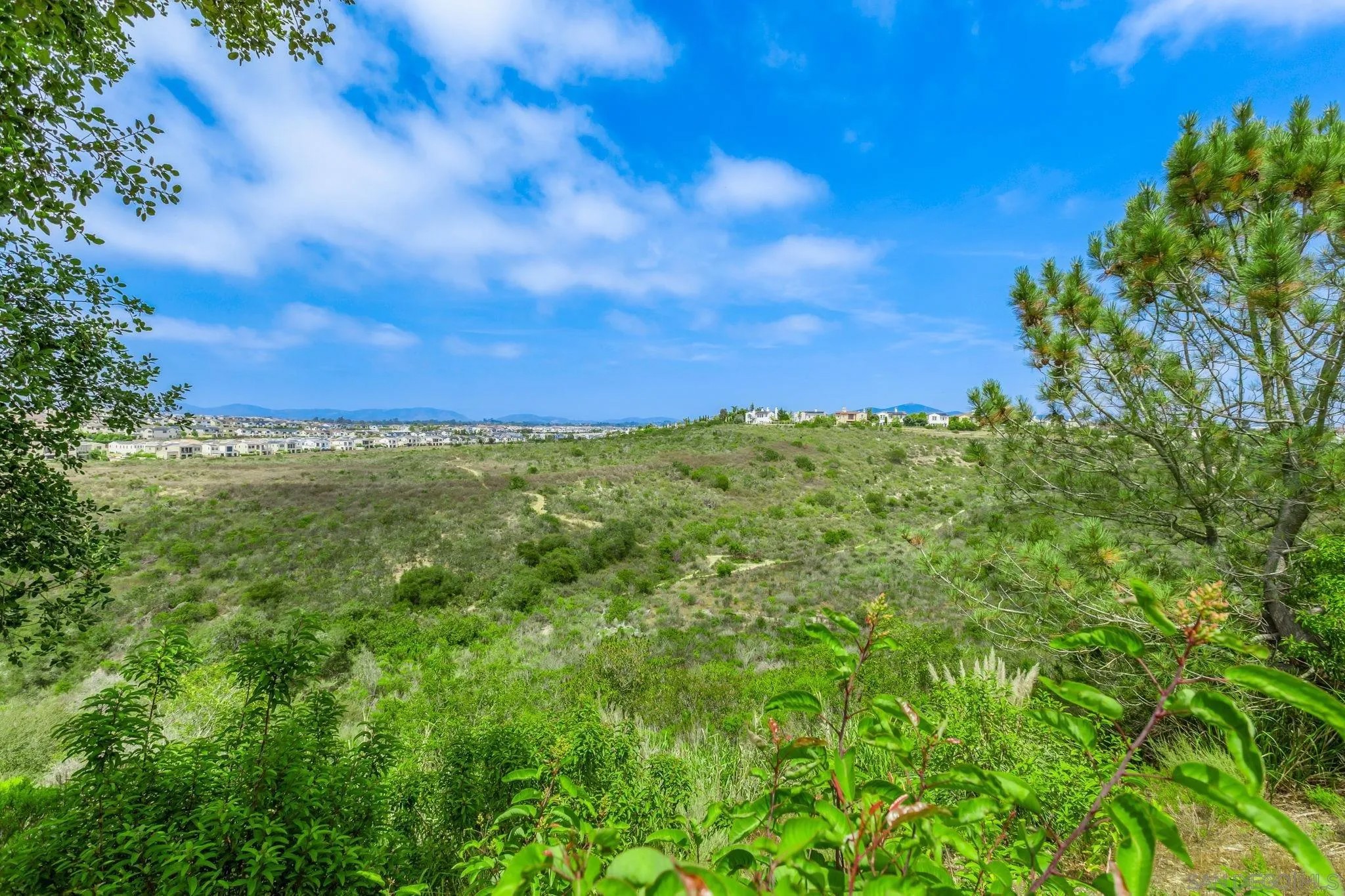 5582 Valerio Trail