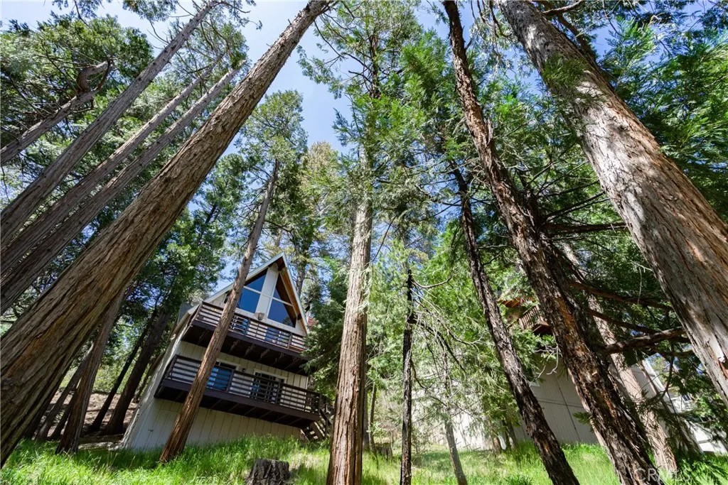 155 Birchwood