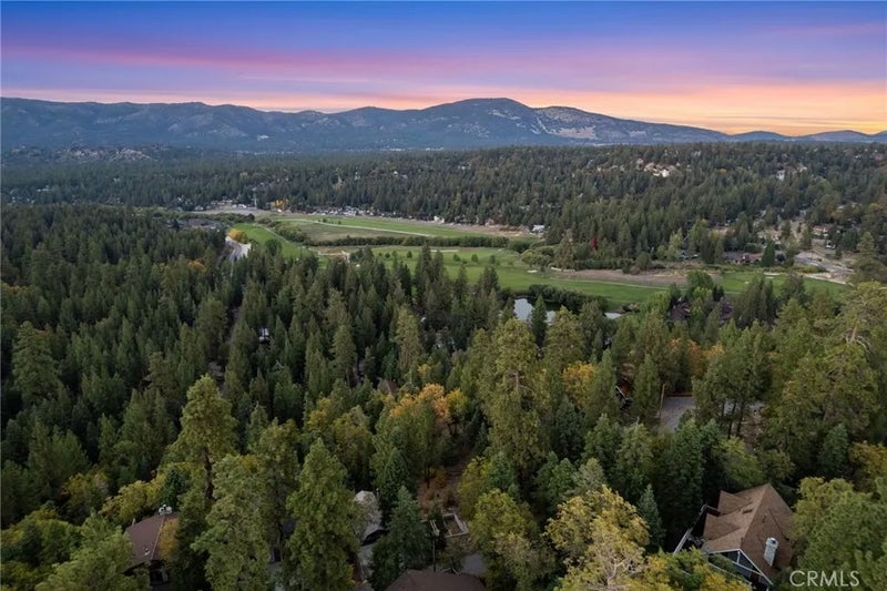 1223 Pigeon