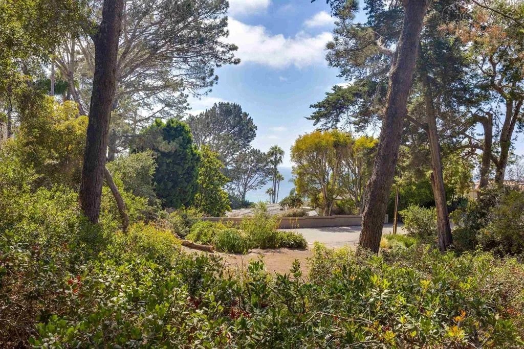Serpentine Drive