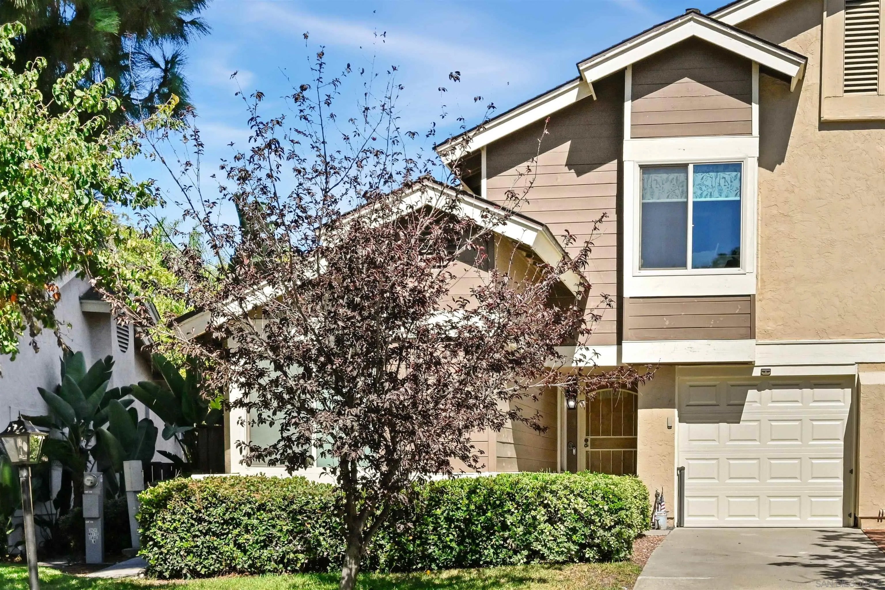 3636 White Sage