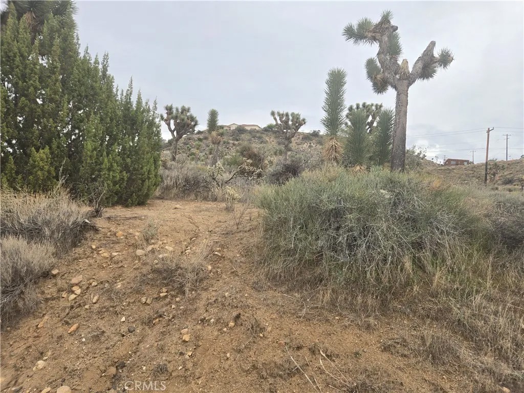 54763 Twentynine Palms