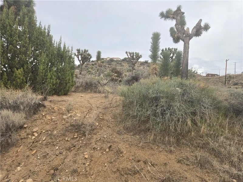 54763 Twentynine Palms