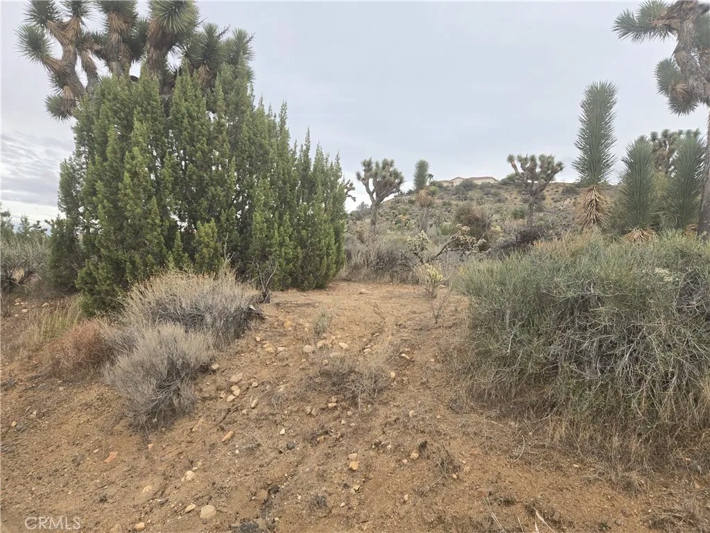 54763 Twentynine Palms