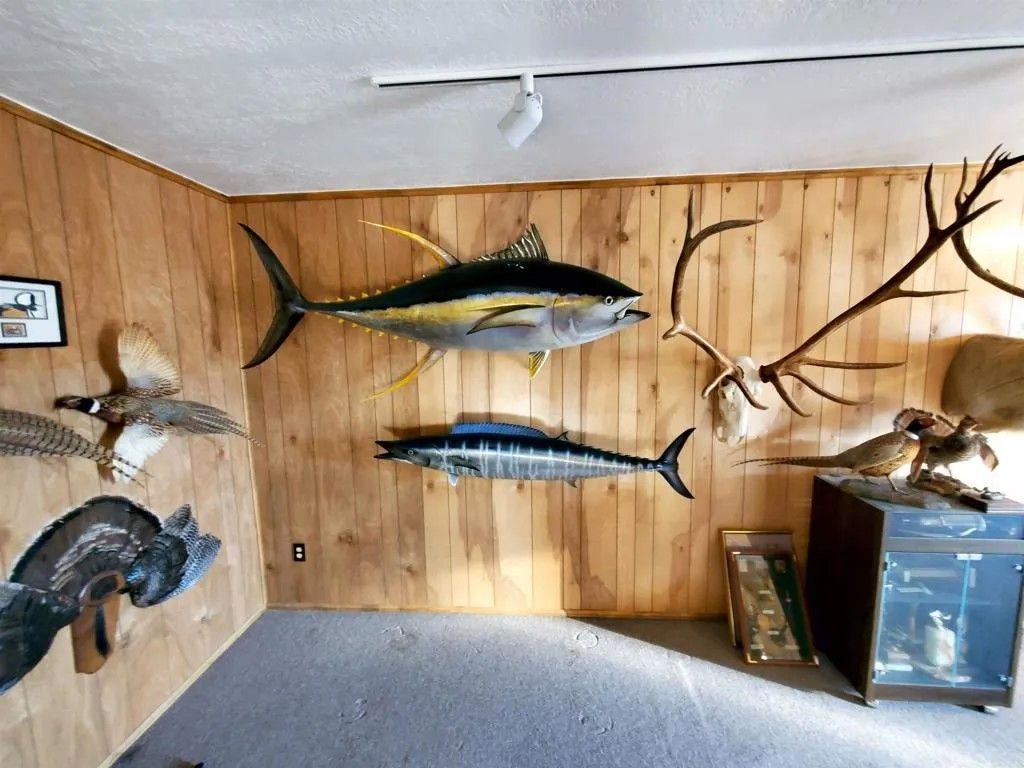 Photo of 17910 Bluegrass Road, Ramona, CA 92065 (MLS # PTP2509021)