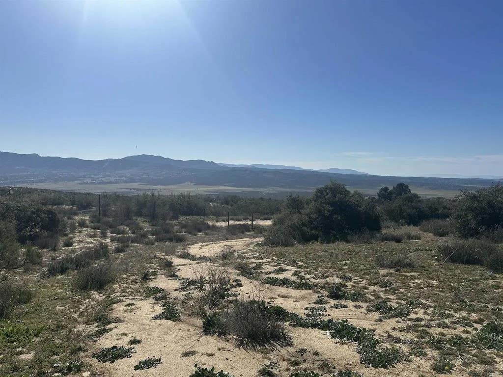 Photo of 40368 Elm Brush Trl, Anza, CA 92539 (MLS # PTP2601141)