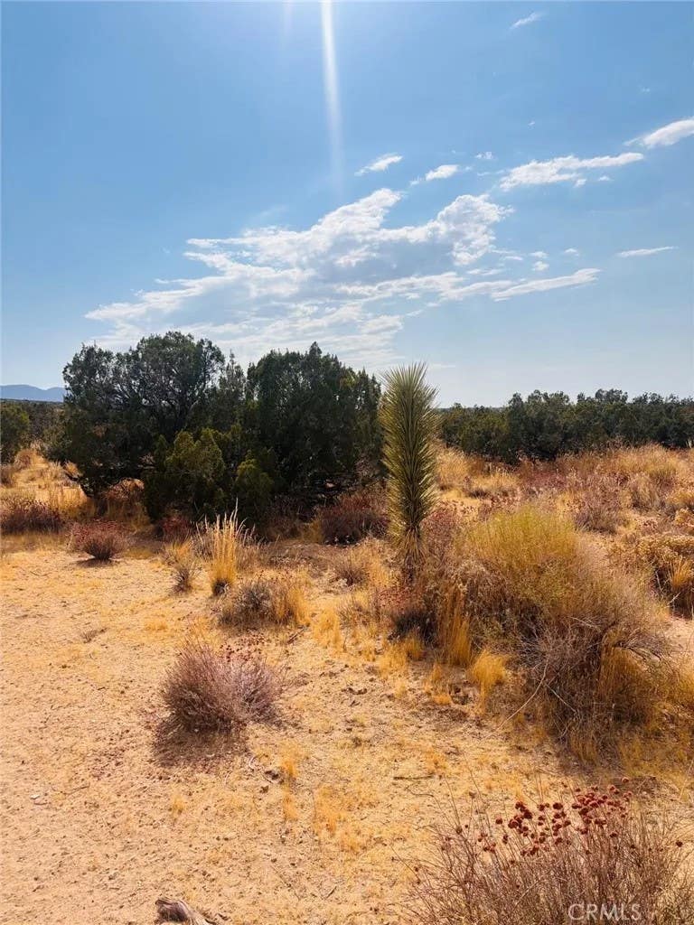 Photo of 0 Vac/Vic, Llano, CA 93544 (MLS # CV26180415)
