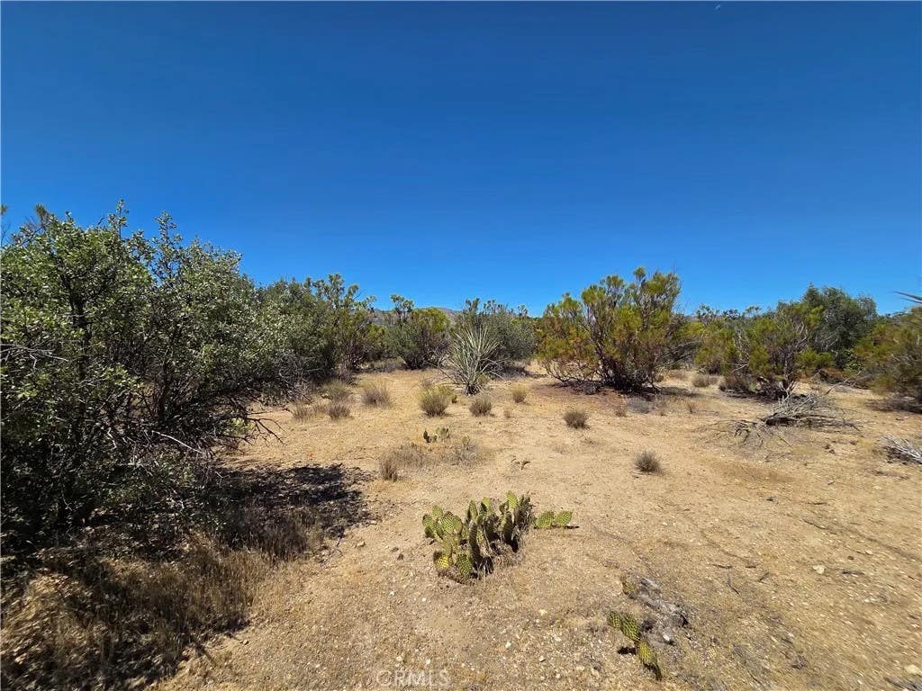 Photo of 2 Terwilliger, Anza, CA 92539 (MLS # SW26157887)