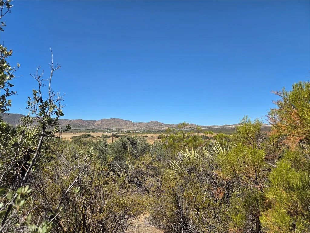 Photo of 2 Terwilliger, Anza, CA 92539 (MLS # SW26157887)