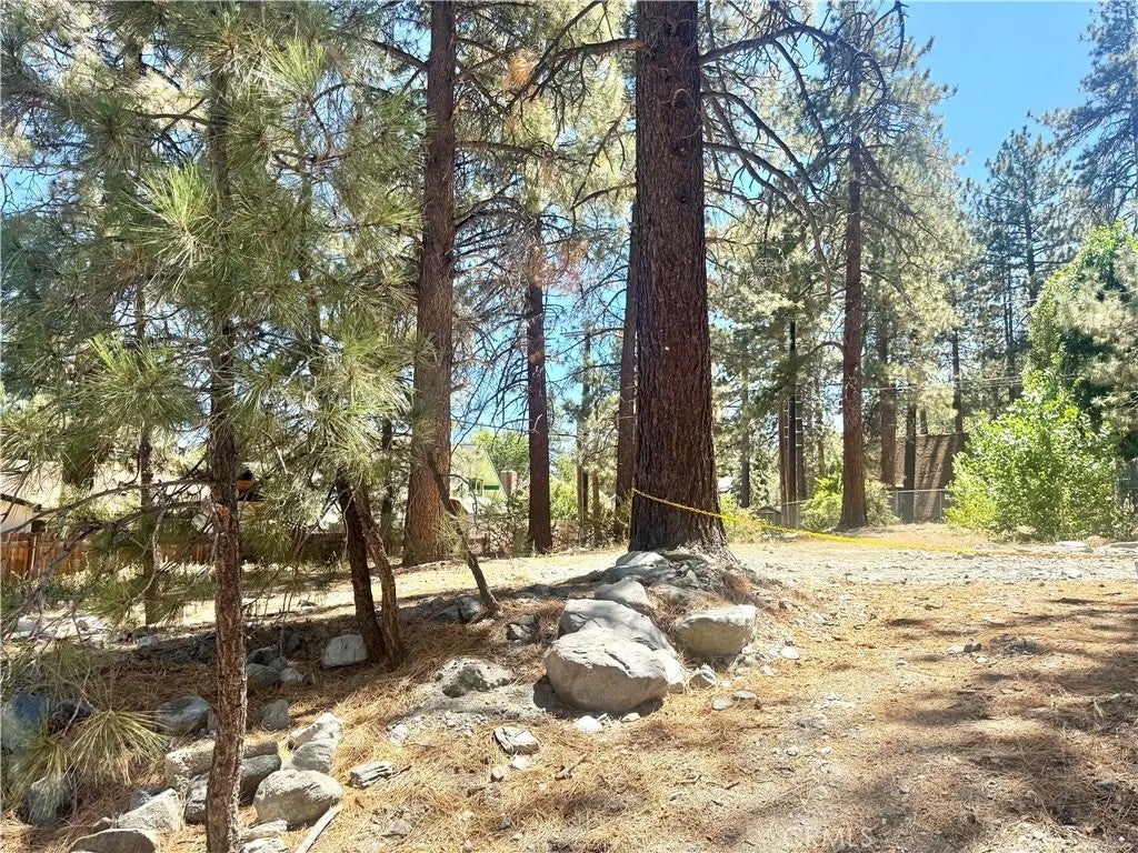 5357 Orchard