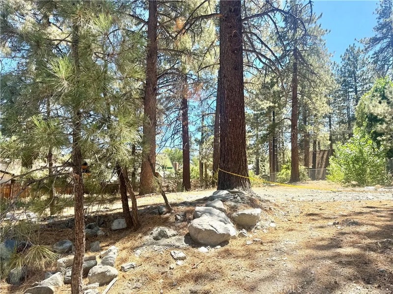 5357 Orchard