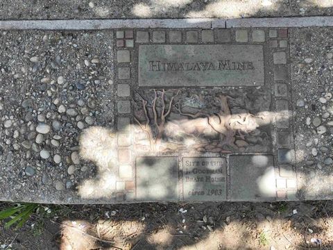 28843 Angel Mountain Road Santa Ysabel CA 92070