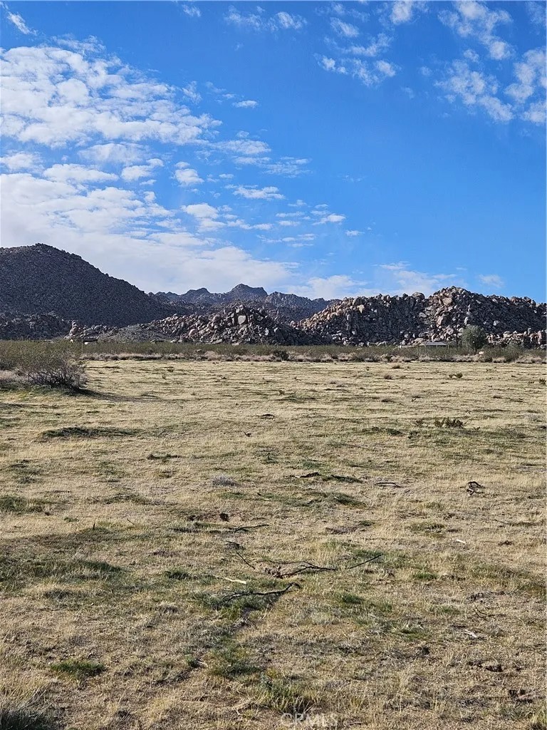 0 Cottonwood